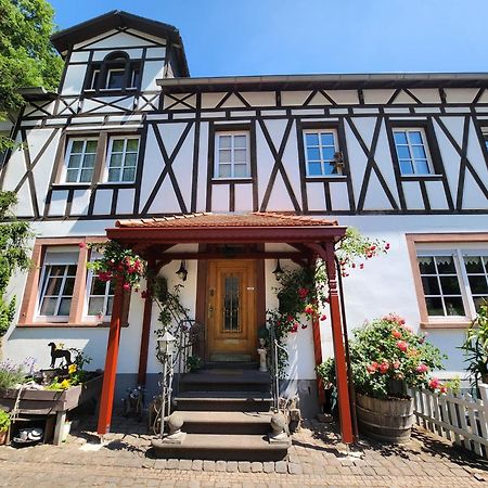 Gaestehaus Beurener Muehle Bad Bertrich Luaran gambar